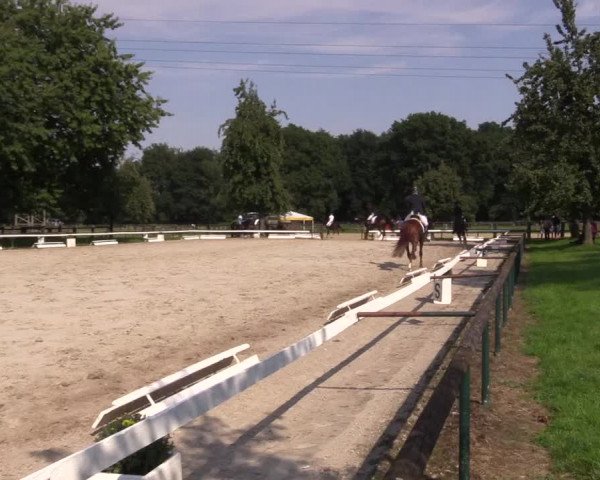 Reitturnier Recklinghausen 2015