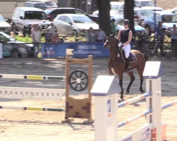 Reitturnier Recklinghausen 2015