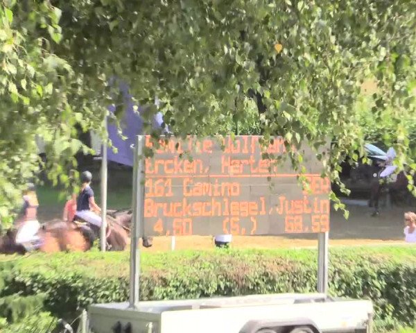 Reitturnier Recklinghausen 2015