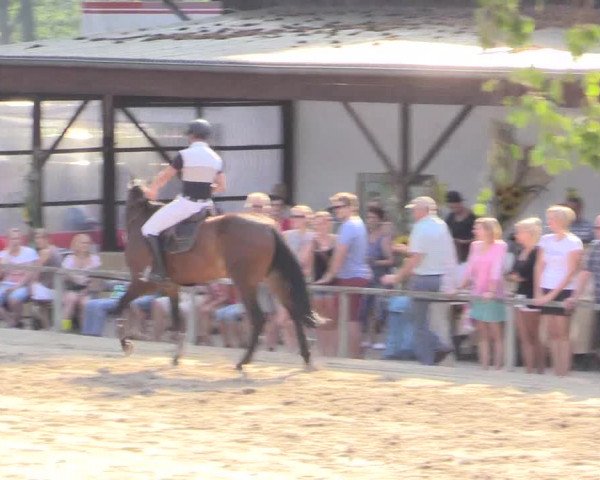 Reitturnier Recklinghausen 2015