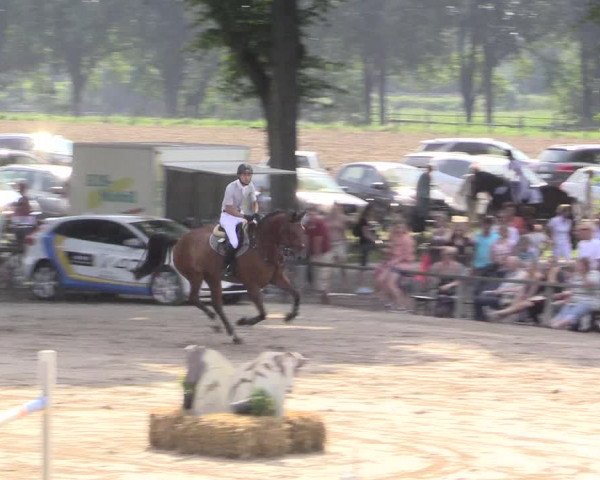 Reitturnier Recklinghausen 2015