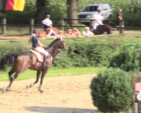 Reitturnier Recklinghausen 2015