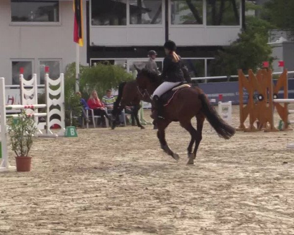 Summer Meeting Hachenburg 2015