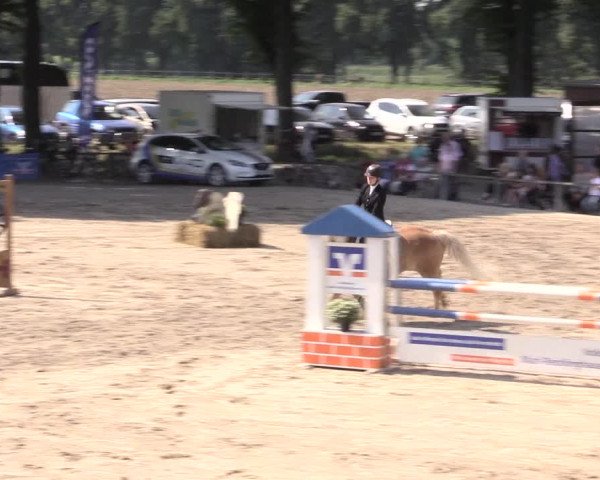 Reitturnier Recklinghausen 2015