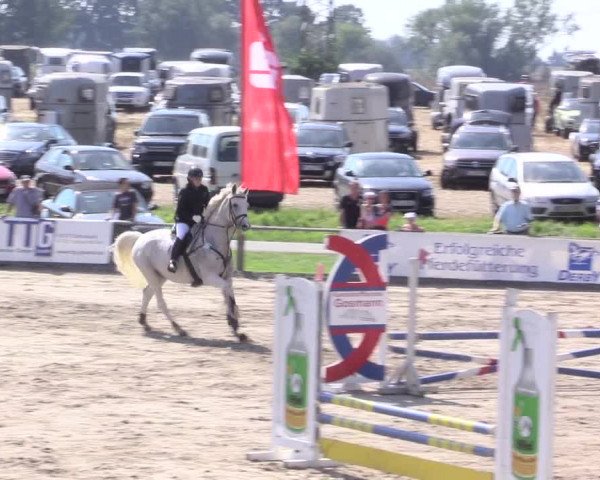 Reitturnier Recklinghausen 2015