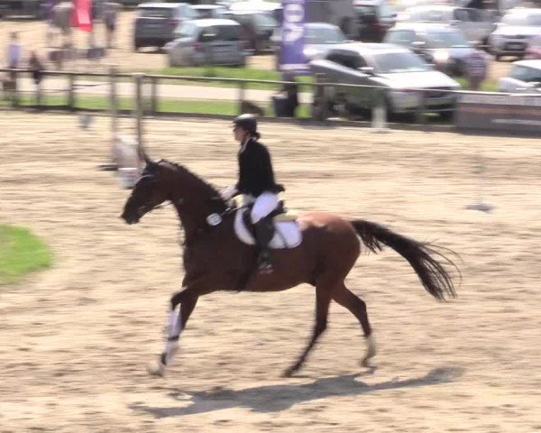 Reitturnier Recklinghausen 2015