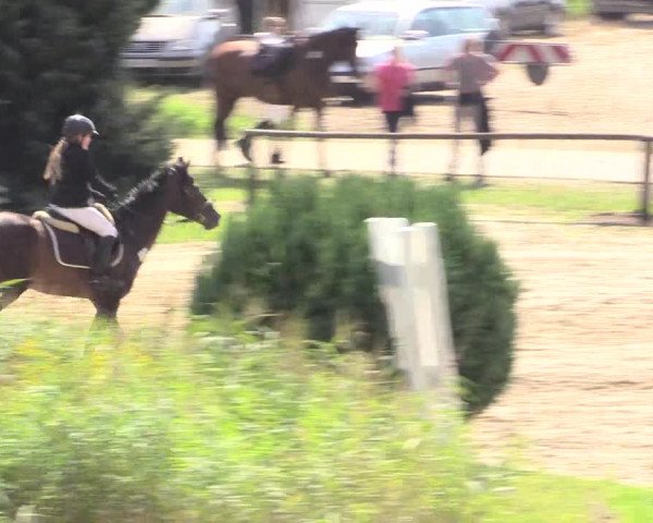Reitturnier Recklinghausen 2015