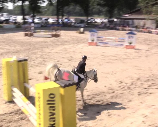 Reitturnier Recklinghausen 2015