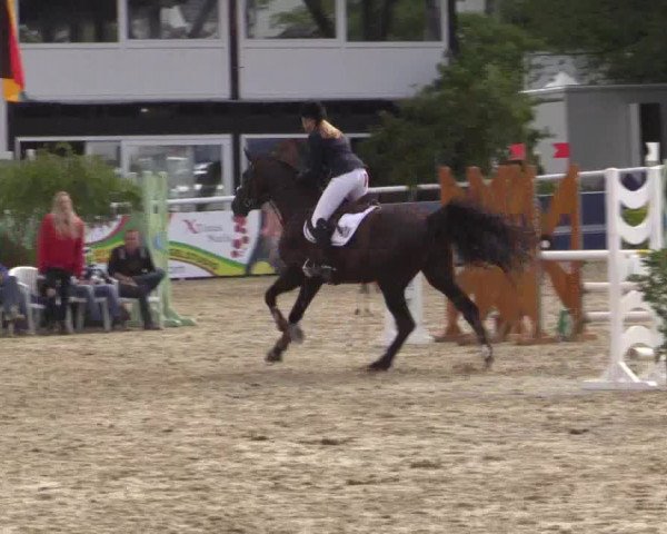 Summer Meeting Hachenburg 2015