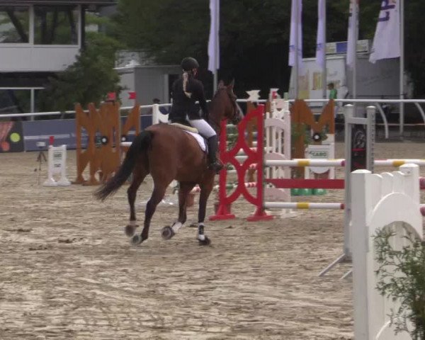 Summer Meeting Hachenburg 2015