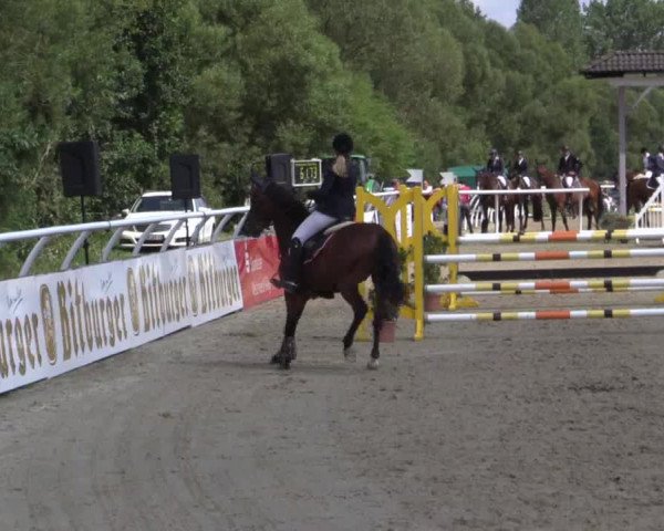 Summer Meeting Hachenburg 2015