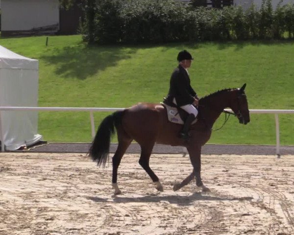 Summer Meeting Hachenburg 2015