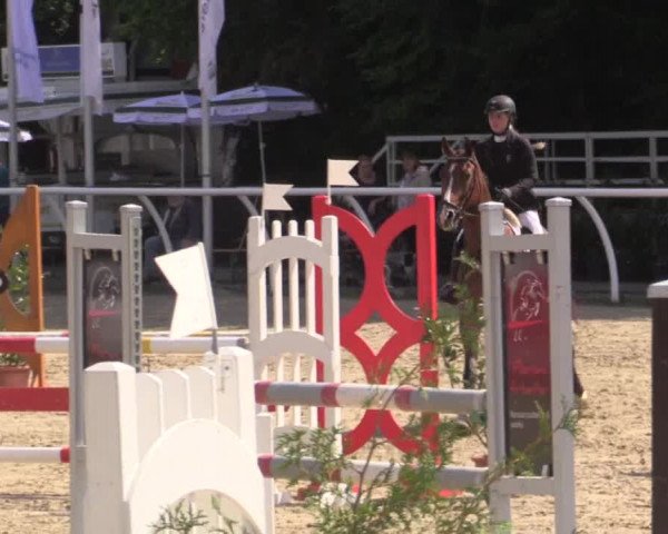 Summer Meeting Hachenburg 2015
