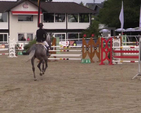 Summer Meeting Hachenburg 2015