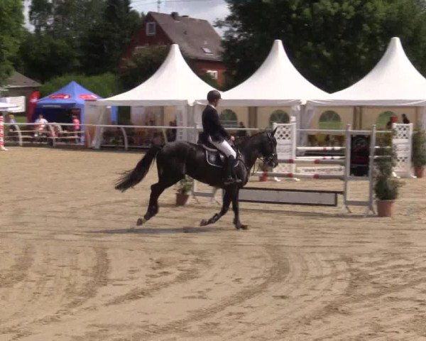 Summer Meeting Hachenburg 2015