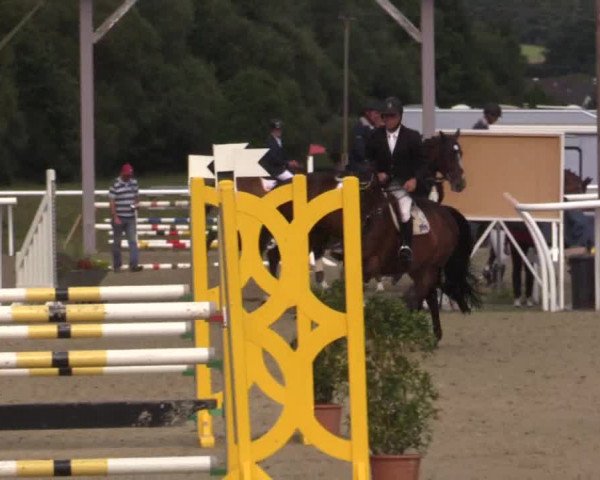 Summer Meeting Hachenburg 2015