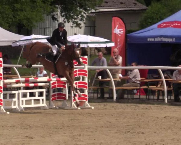 Summer Meeting Hachenburg 2015