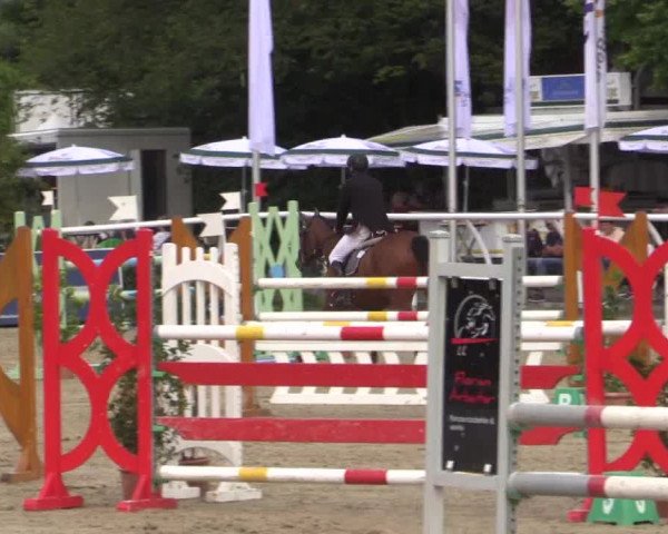 Summer Meeting Hachenburg 2015