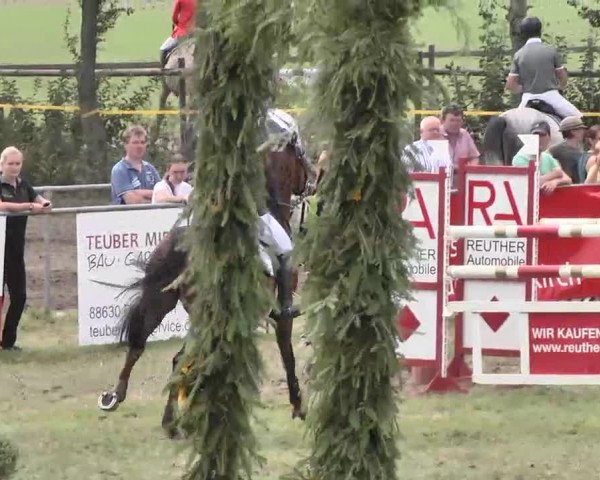 Reitturnier Pfullendorf 2015