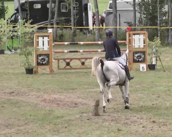 Reitturnier Pfullendorf 2015