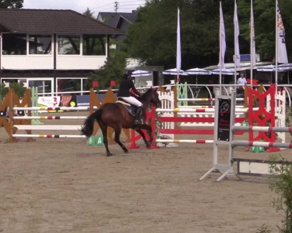 Summer Meeting Hachenburg 2015