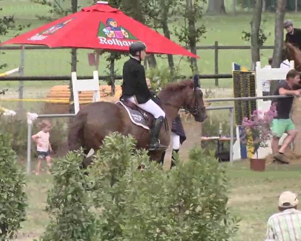 Reitturnier Pfullendorf 2015