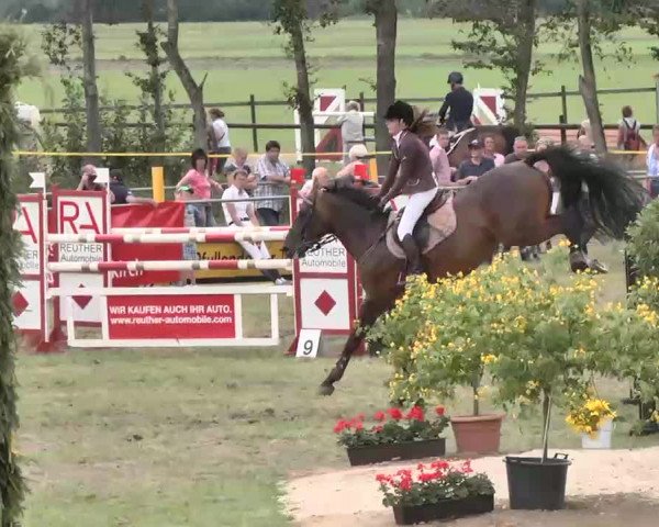 Reitturnier Pfullendorf 2015