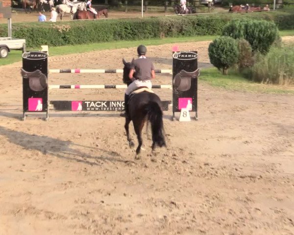 Reitturnier Recklinghausen 2015