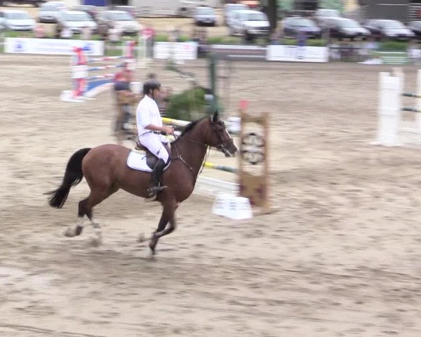 Reitturnier Recklinghausen 2015
