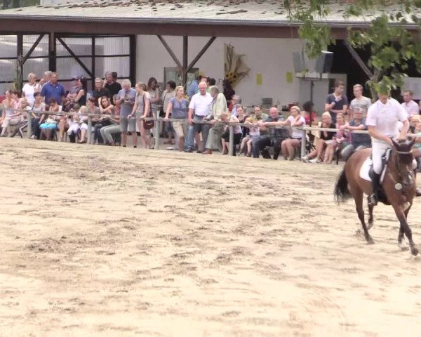 Reitturnier Recklinghausen 2015