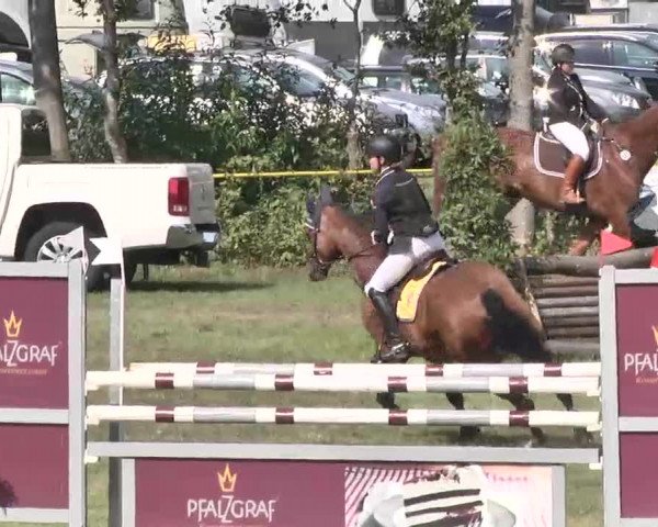 Reitturnier Pfullendorf 2015