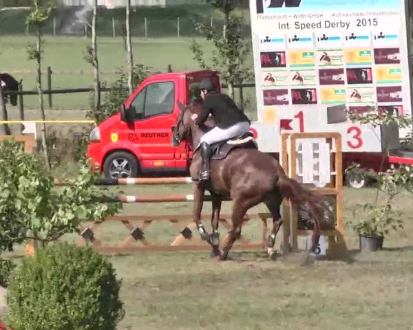 Reitturnier Pfullendorf 2015