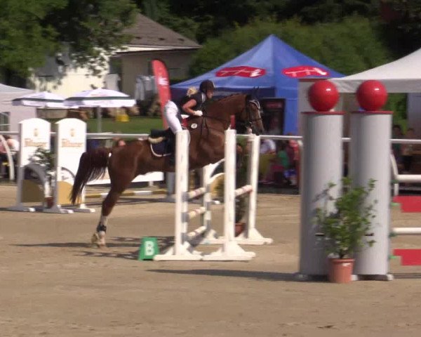 Summer Meeting Hachenburg 2015