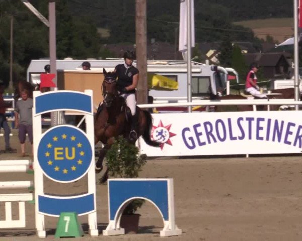 Summer Meeting Hachenburg 2015