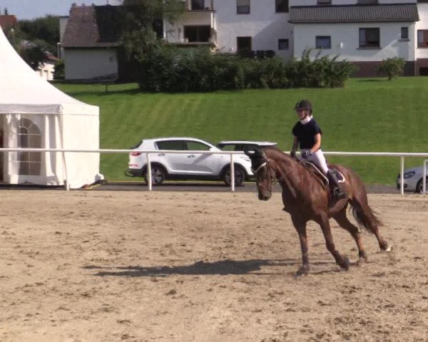 Summer Meeting Hachenburg 2015