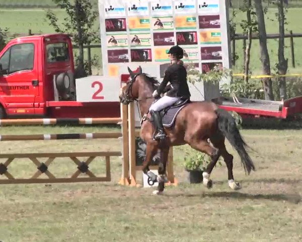 Reitturnier Pfullendorf 2015