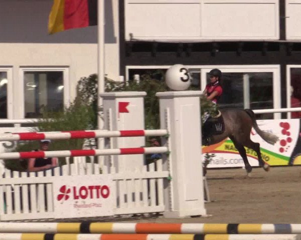 Summer Meeting Hachenburg 2015