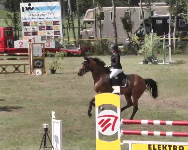 Reitturnier Pfullendorf 2015