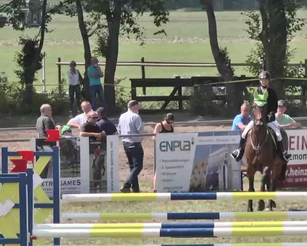 Reitturnier Pfullendorf 2015