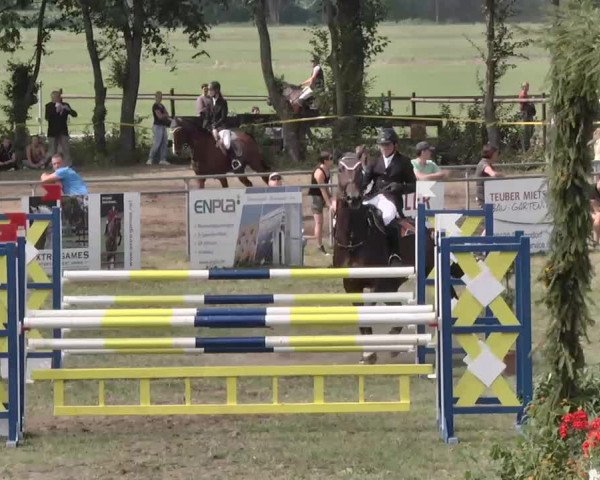 Reitturnier Pfullendorf 2015