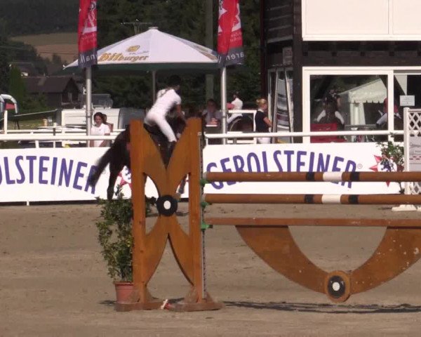 Summer Meeting Hachenburg 2015