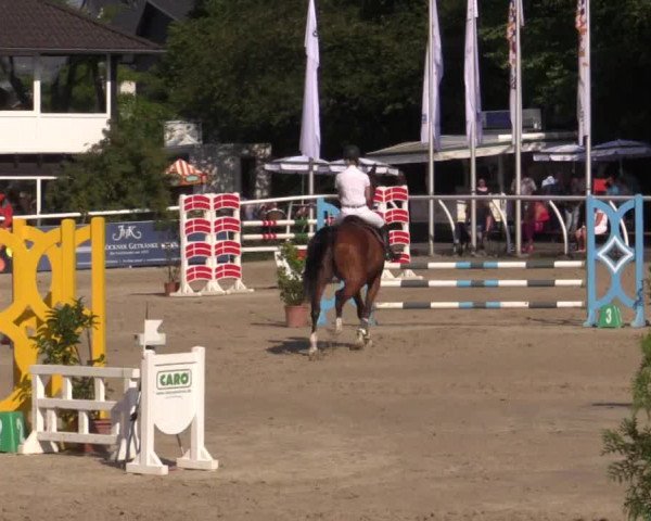 Summer Meeting Hachenburg 2015