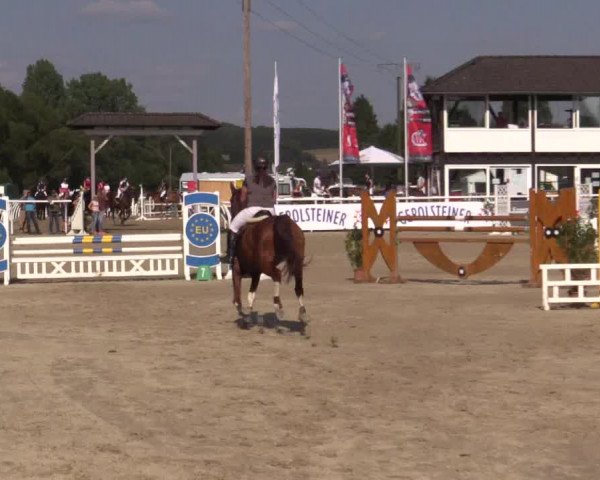 Summer Meeting Hachenburg 2015
