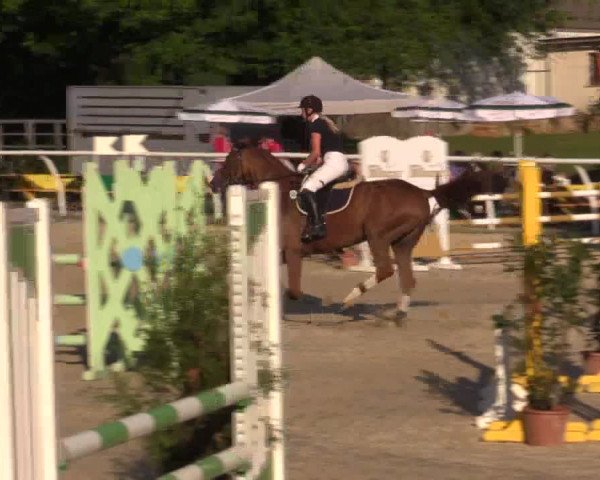 Summer Meeting Hachenburg 2015