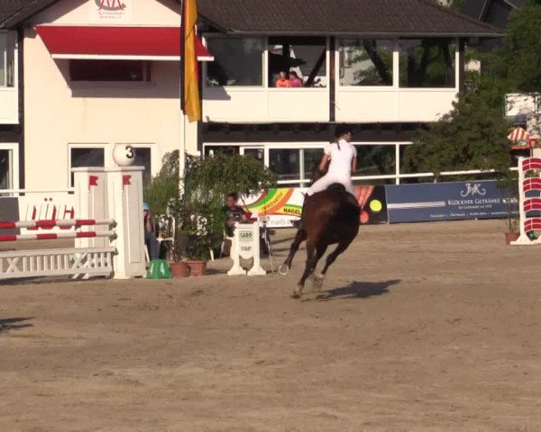 Summer Meeting Hachenburg 2015