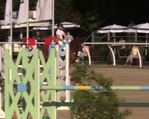 Summer Meeting Hachenburg 2015