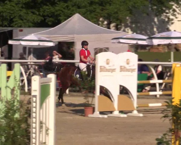 Summer Meeting Hachenburg 2015
