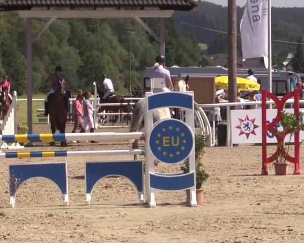 Summer Meeting Hachenburg 2015
