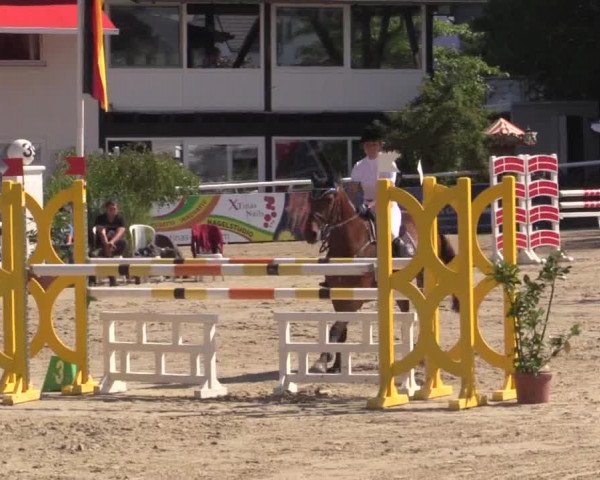 Summer Meeting Hachenburg 2015