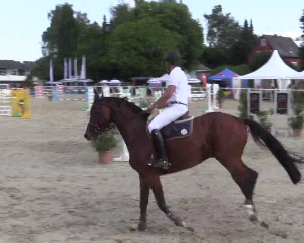 Summer Meeting Hachenburg 2015
